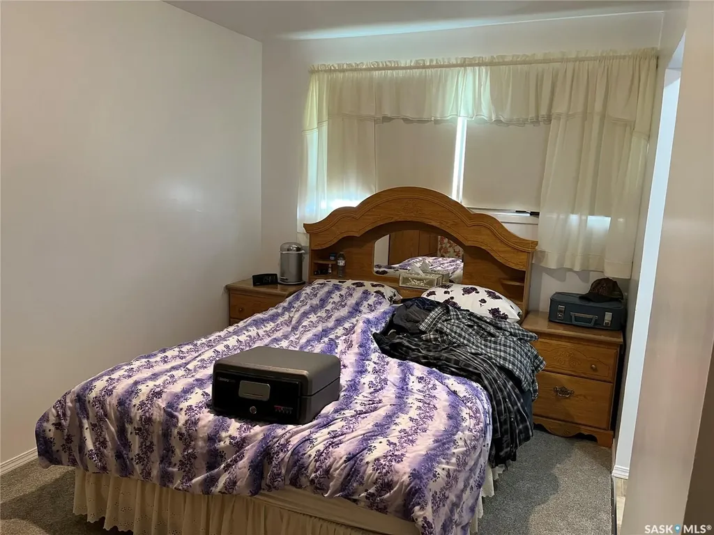 204 William Street Hazenmore SK S0H 1C0