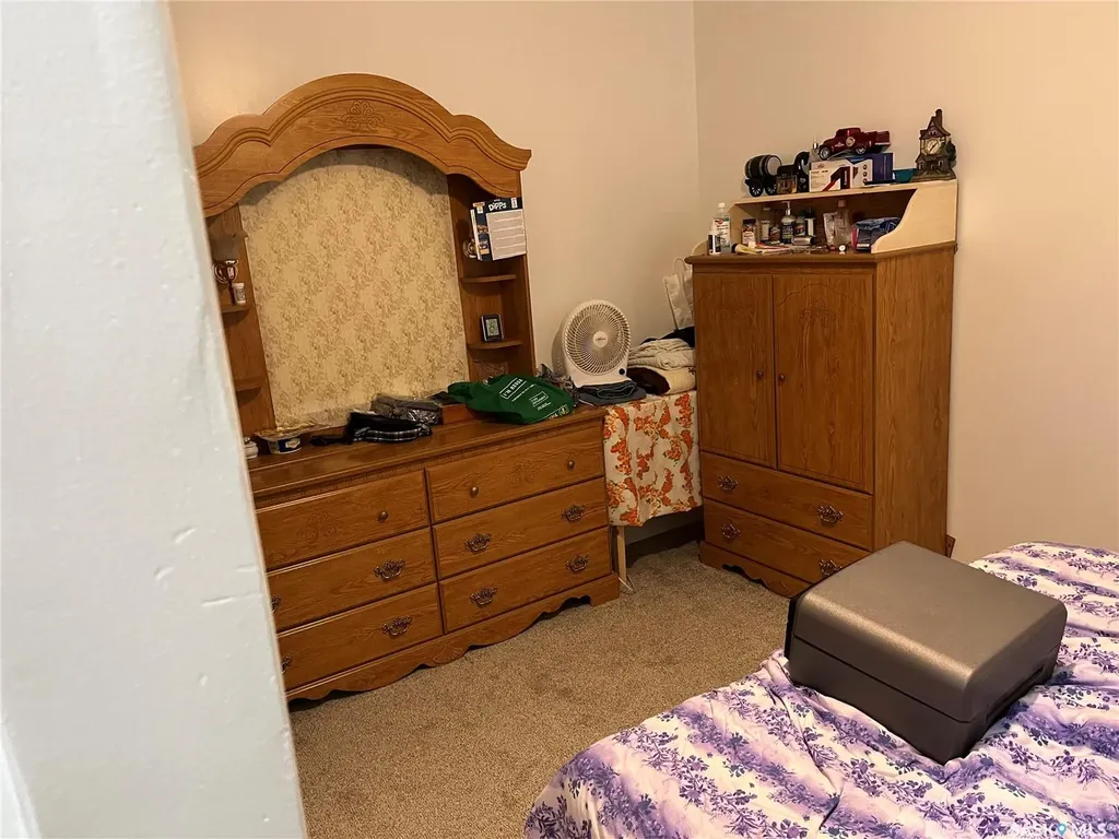 204 William Street Hazenmore SK S0H 1C0