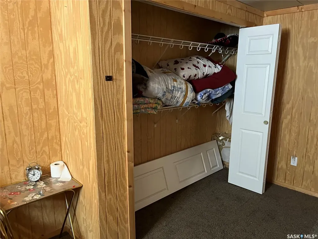 204 William Street Hazenmore SK S0H 1C0