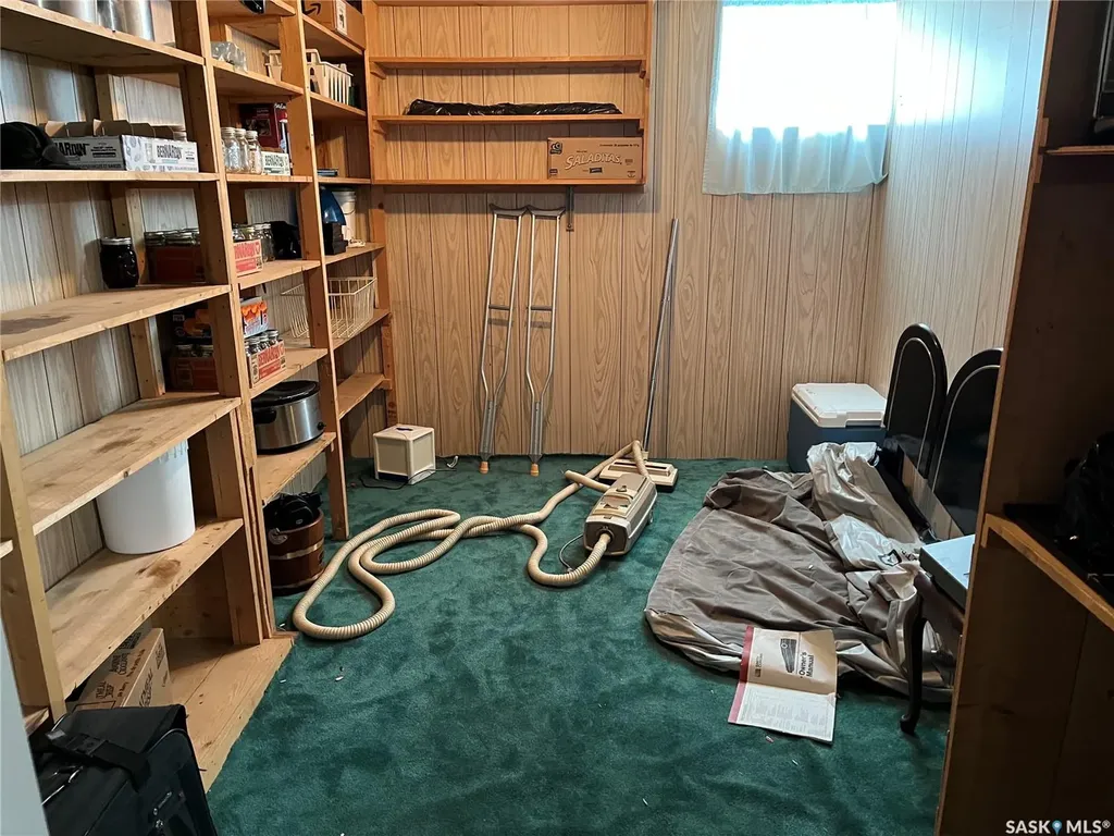 204 William Street Hazenmore SK S0H 1C0