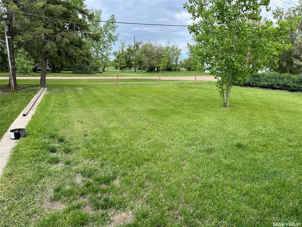 204 William Street Hazenmore SK S0H 1C0