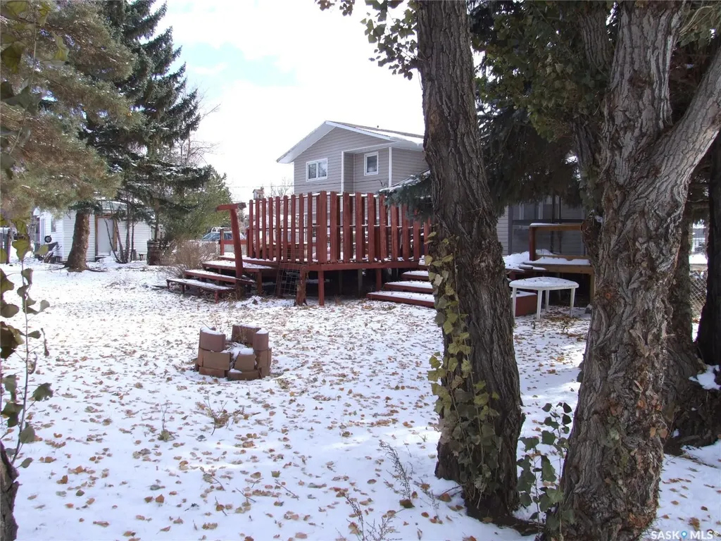 201 8th Street W Leader SK S0N 1H0