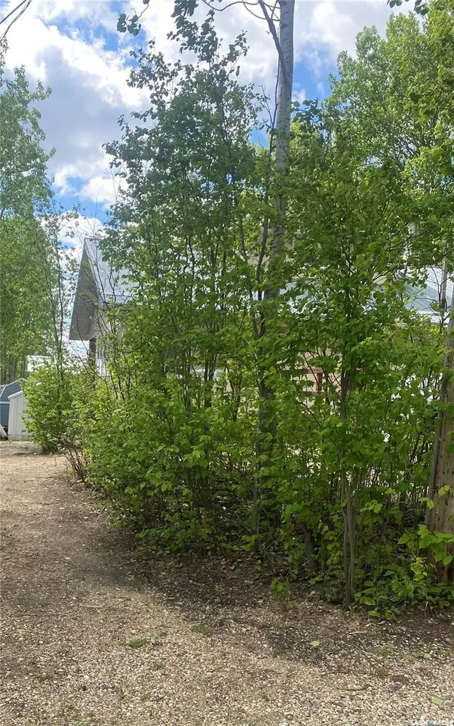 519 Bear Road Bjorkdale Rm No. 426 SK S0E 0E0