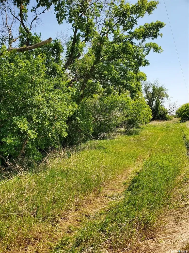 Rural Address Corman Park Rm No. 344 SK S0K 2L0