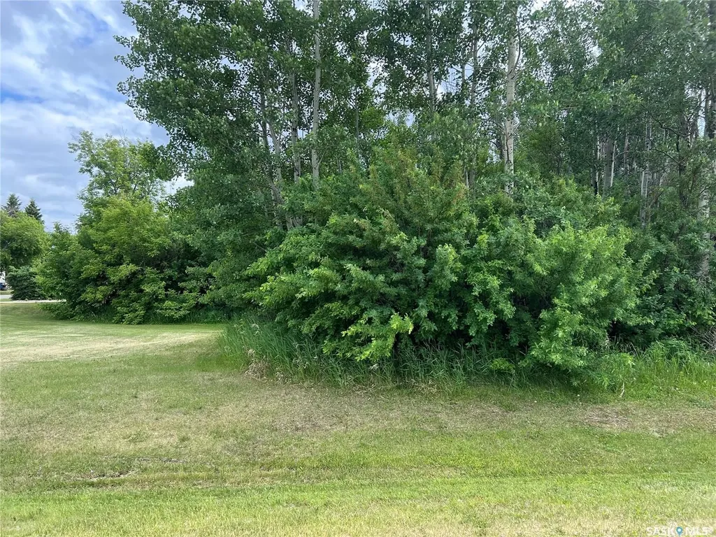 327 Windsor Avenue Porcupine Plain SK S0E 1H0