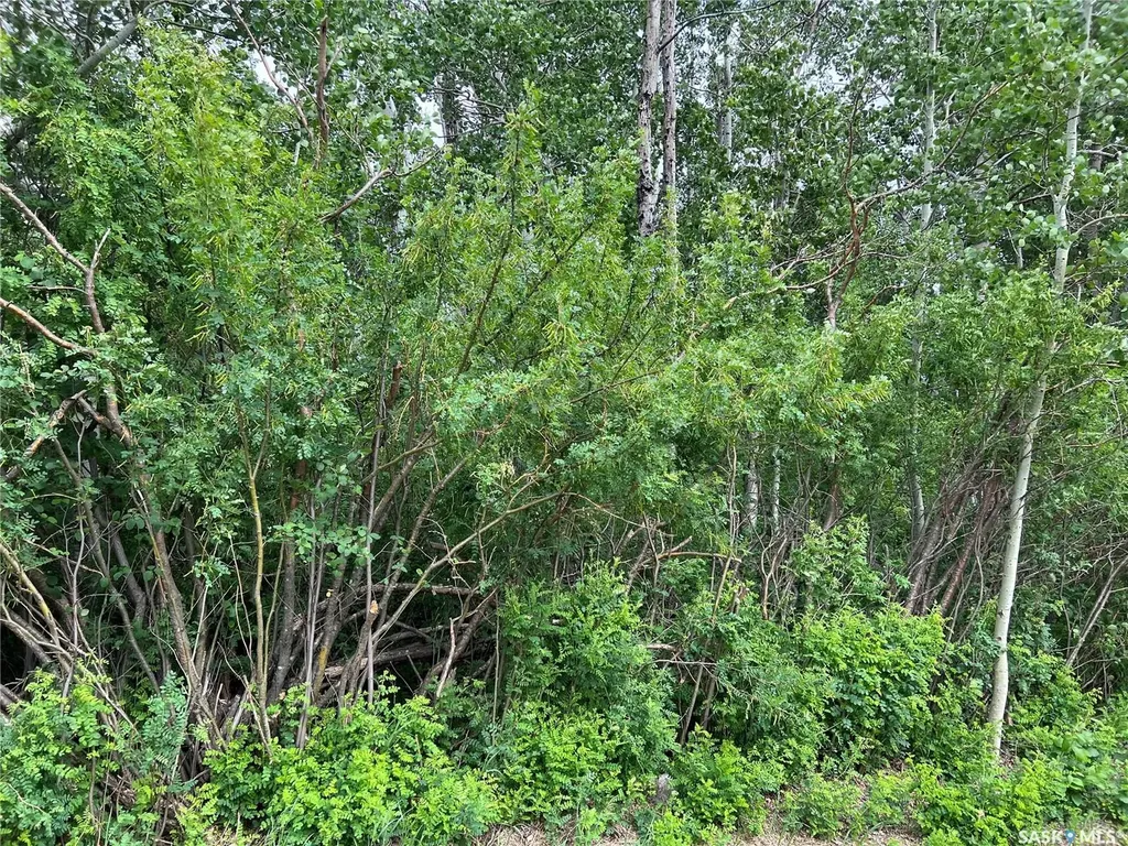 327 Windsor Avenue Porcupine Plain SK S0E 1H0