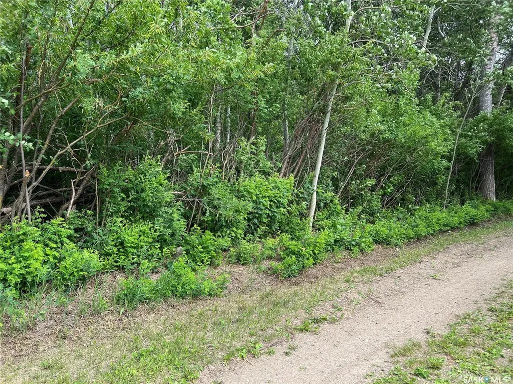 327 Windsor Avenue Porcupine Plain SK S0E 1H0