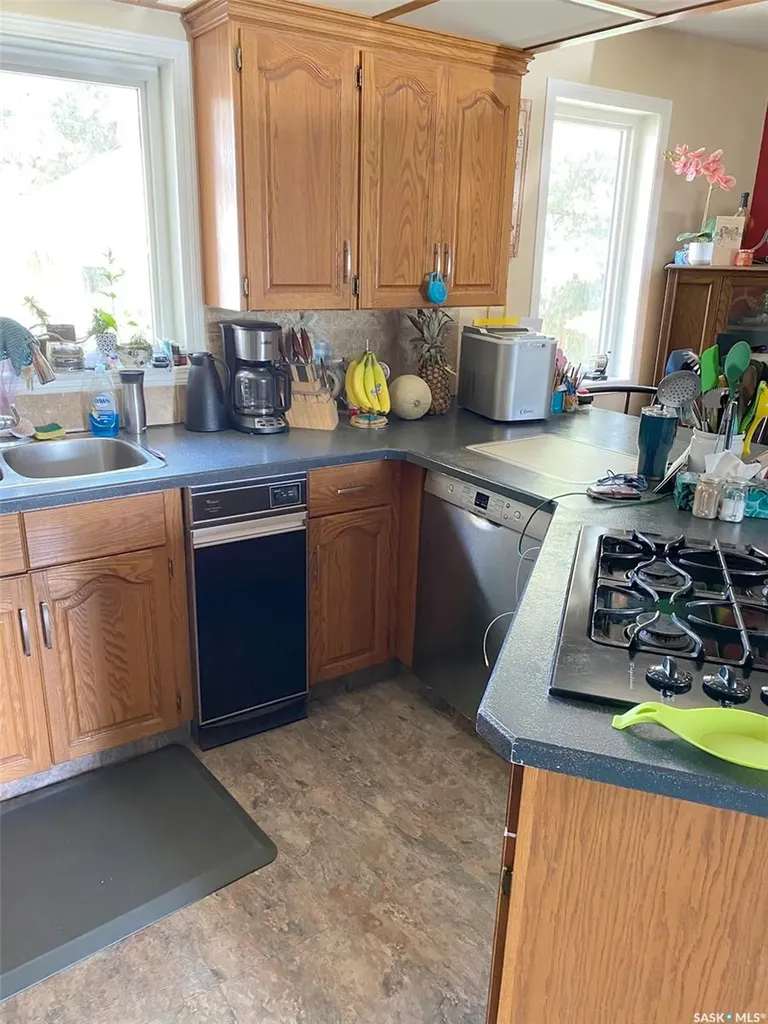 105 Assiniboia Avenue Assiniboia SK S0H 0B0