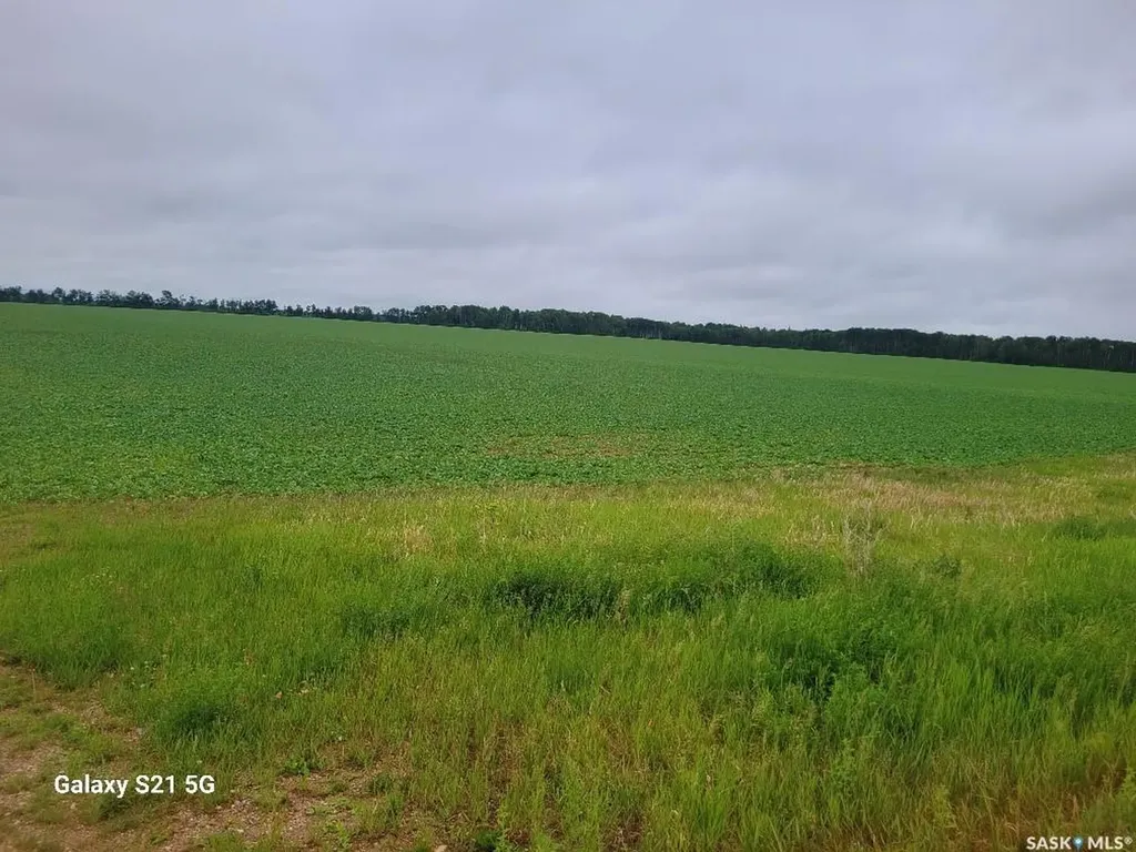 Rural Address Torch River Rm No. 488 SK S0J 3B0