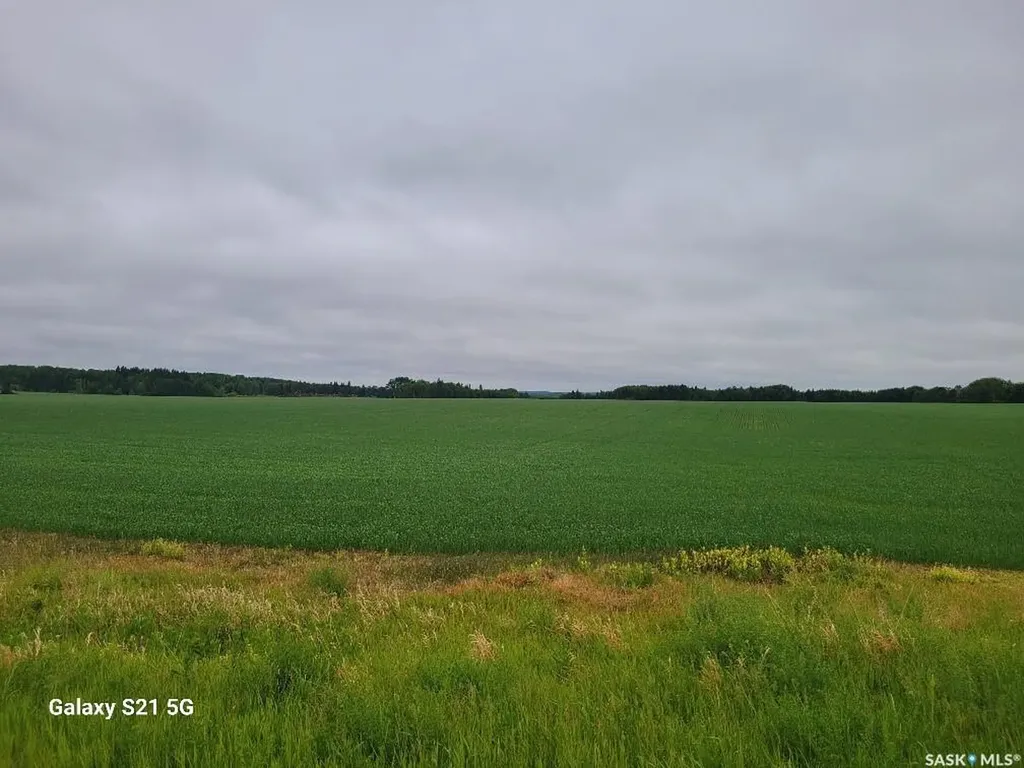 Rural Address Torch River Rm No. 488 SK S0J 3B0