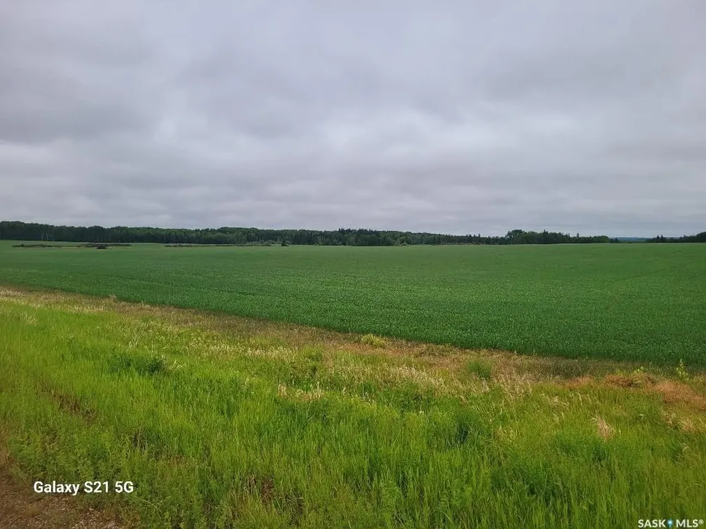 Rural Address Torch River Rm No. 488 SK S0J 3B0