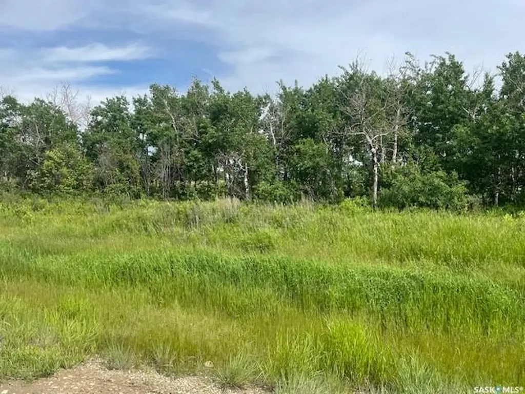 Lot 6 Viceroy Road North Battleford Rm No. 437 SK S9A 0S6