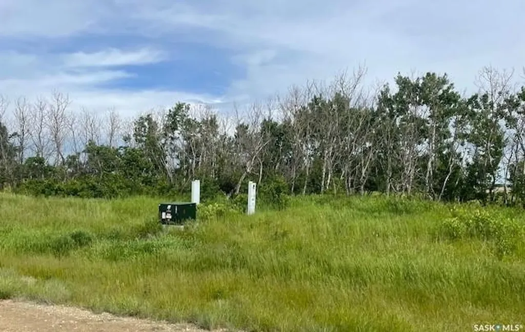 Lot 4 Viceroy Road North Battleford Rm No. 437 SK S9A 0S6