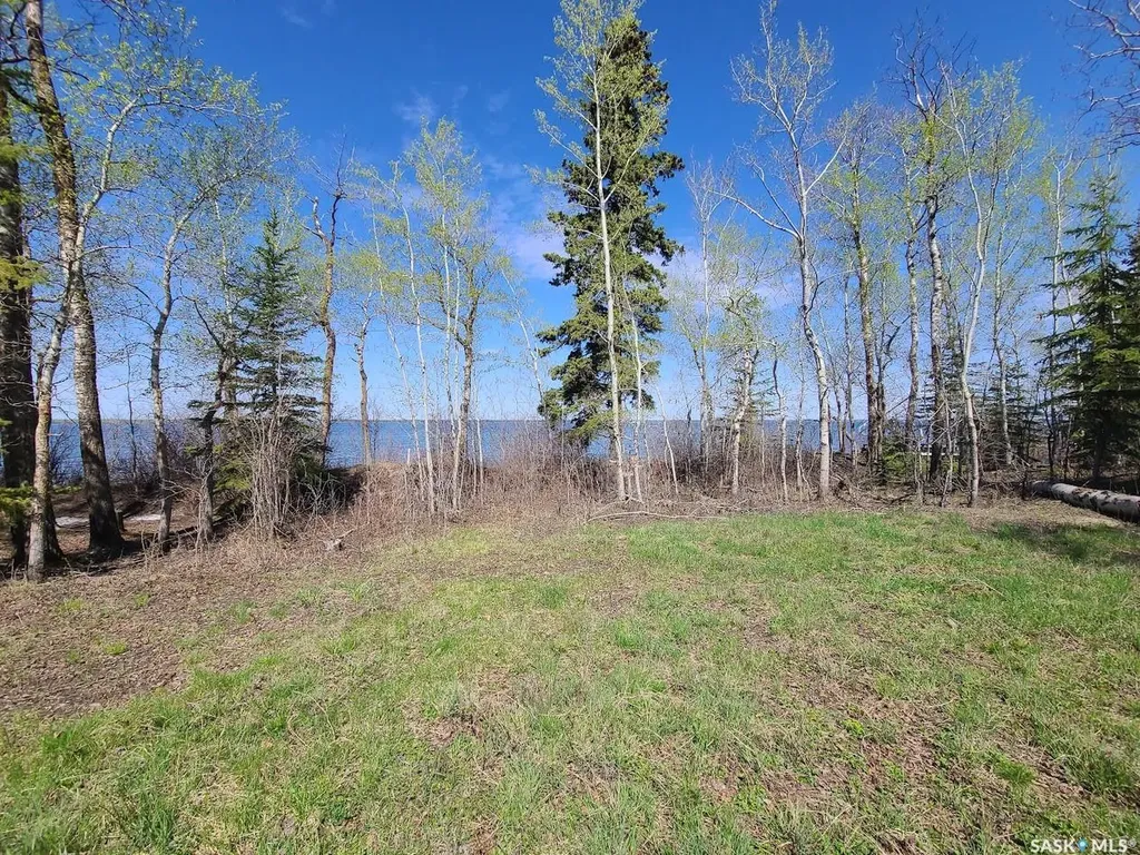 820 Wild Rose Lane Mervin Rm No.499 SK S0M 1J0