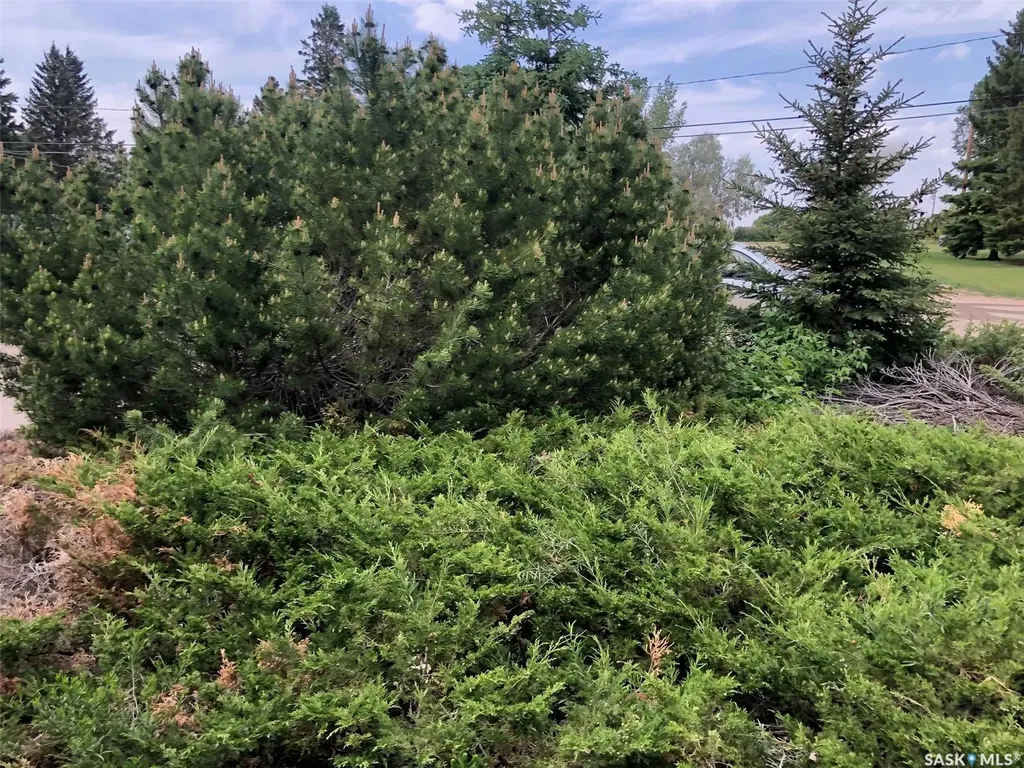 226 Saskatchewan Street E Kamsack SK S0A 1S0