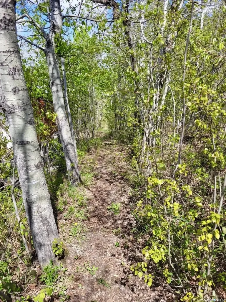 1 Lakeshore Place Echo Bay SK S0J 2G0