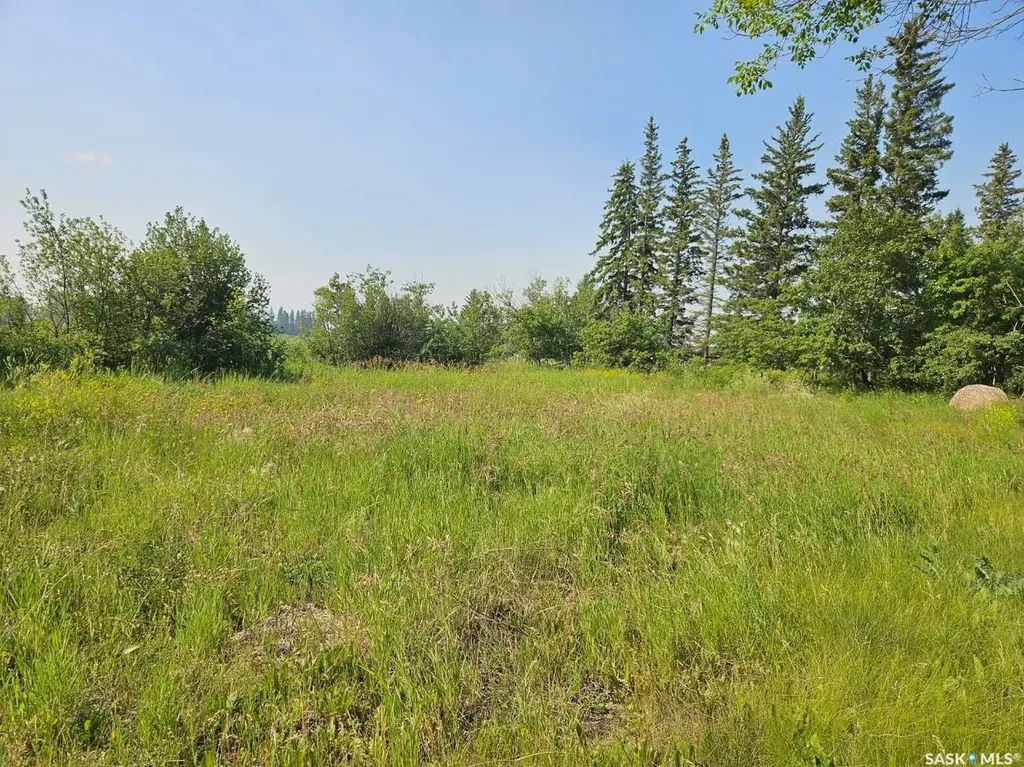Rural Address Ponass Lake Rm No. 367 SK S0E 1M0