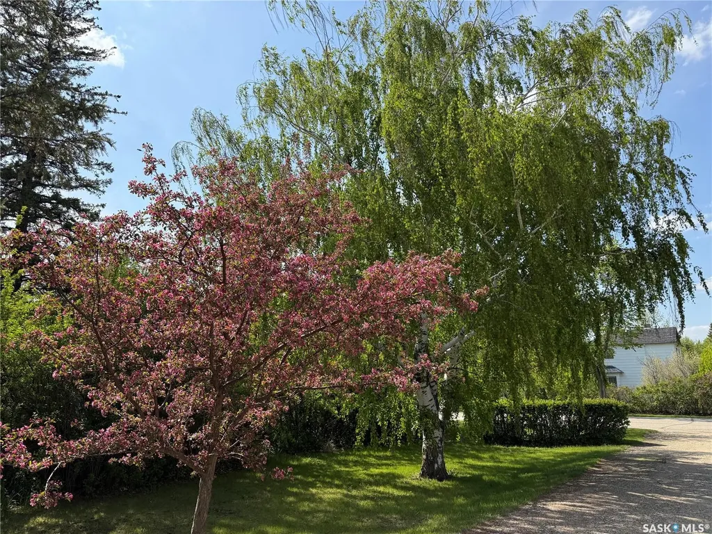 318 3rd Avenue Alameda SK S0C 0A0