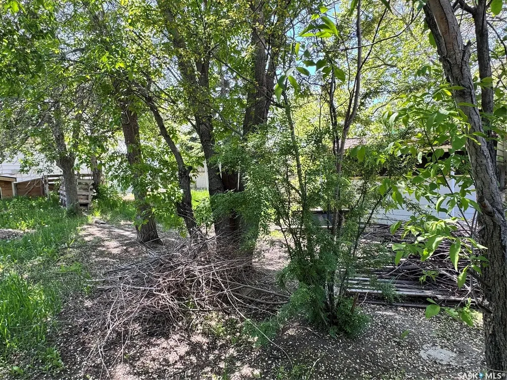 925 Isabelle Street Estevan SK S4A 1R4