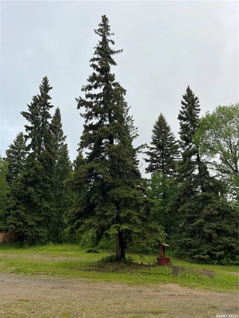 5 Buckingham Trail Big River Rm No. 555 SK S0J 0E0