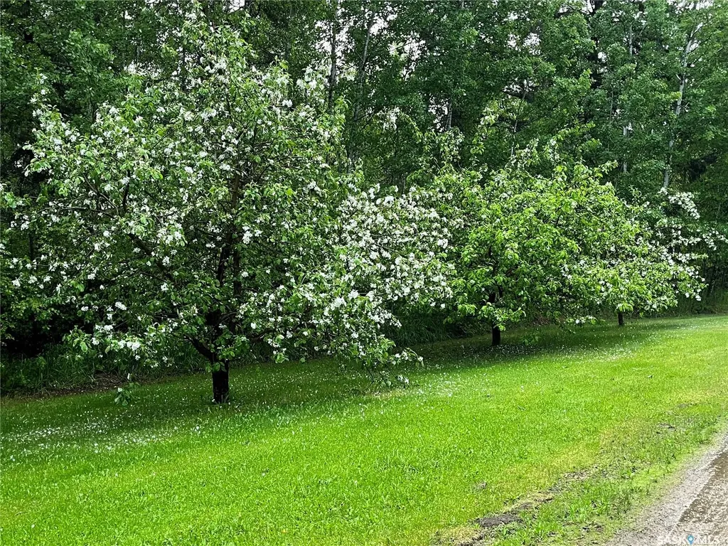 5 Buckingham Trail Big River Rm No. 555 SK S0J 0E0