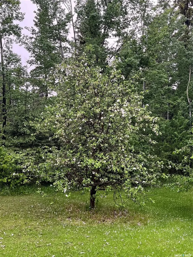 5 Buckingham Trail Big River Rm No. 555 SK S0J 0E0