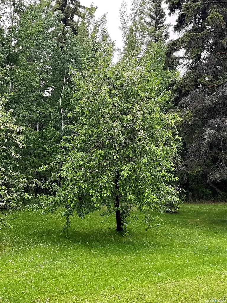 5 Buckingham Trail Big River Rm No. 555 SK S0J 0E0