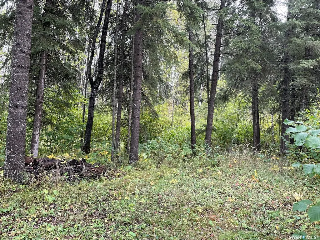 Lot 20 Tranquility Drive Big River Rm No. 555 SK S0J 0E0