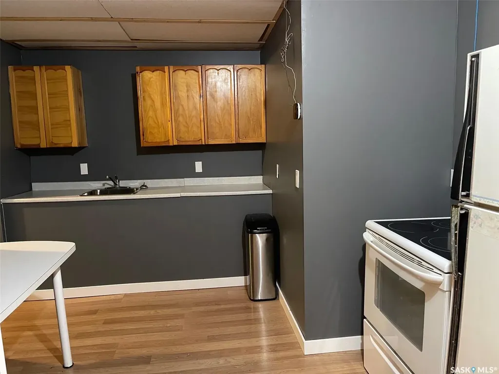 209 Pine Street Chitek Lake SK S0J 0L0