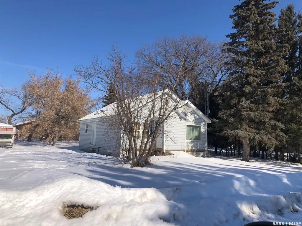 19 1st Avenue N Hyas SK S0A 1K0