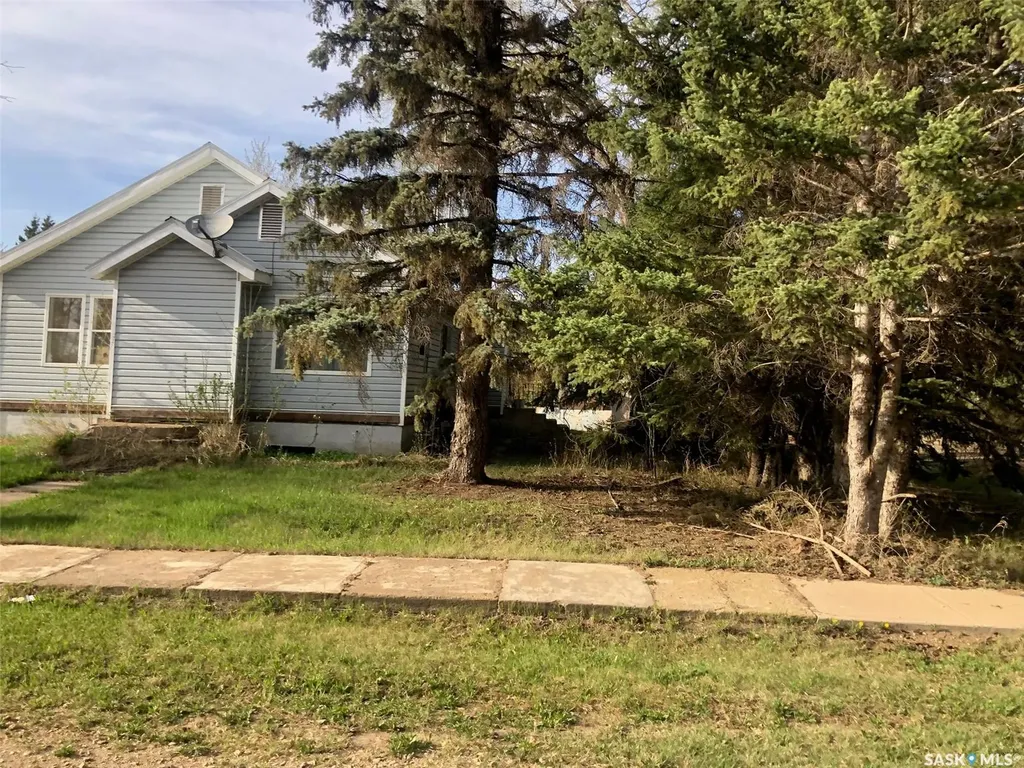 19 1st Avenue N Hyas SK S0A 1K0