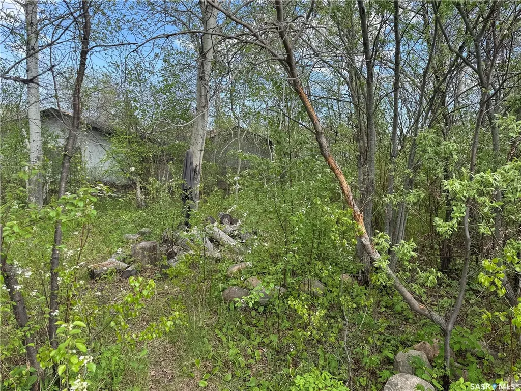 210 Bouvier Crescent Beauval SK S0M 0A1