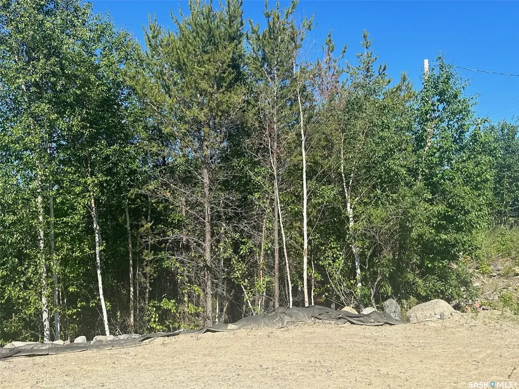 229 Eagle Point Drive La Ronge SK S0J 1L0