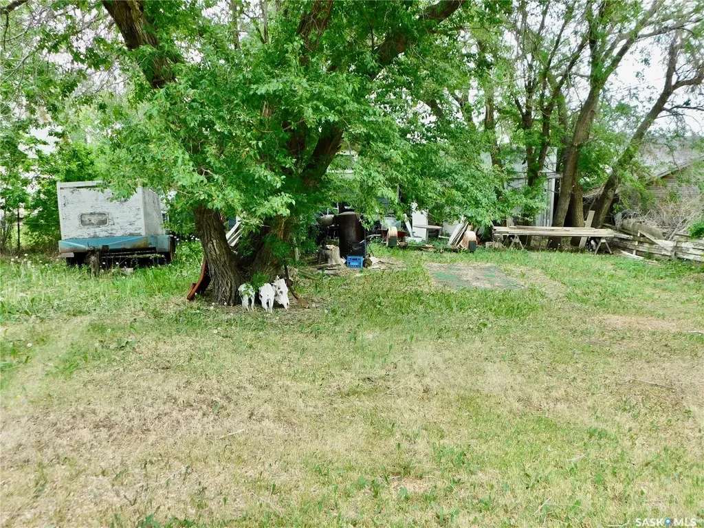 1004 2nd Street N Rockglen SK S0H 3R1