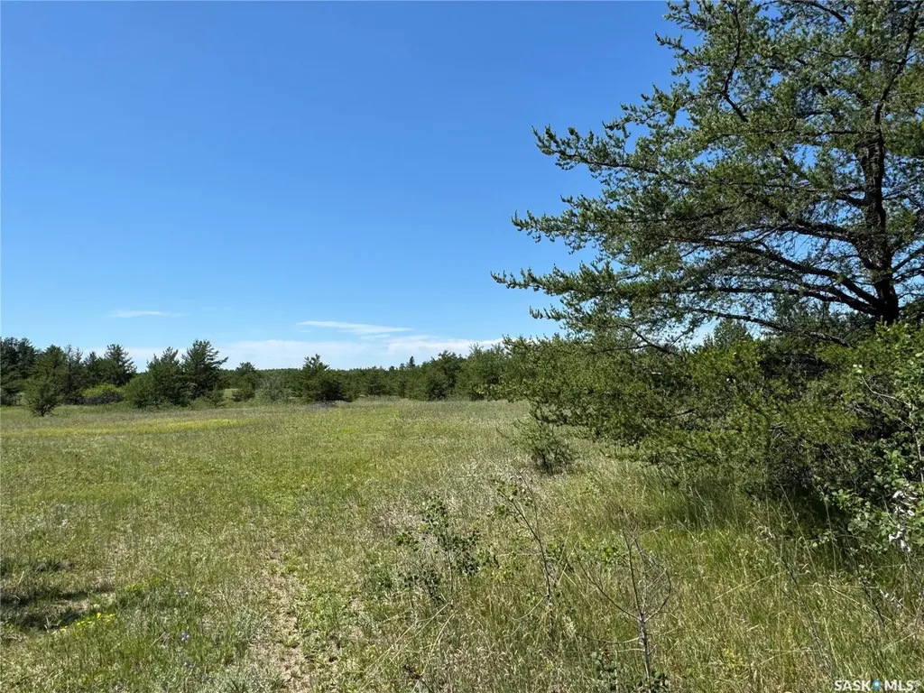 Rural Address Duck Lake Rm No. 463 SK S6V 5R1