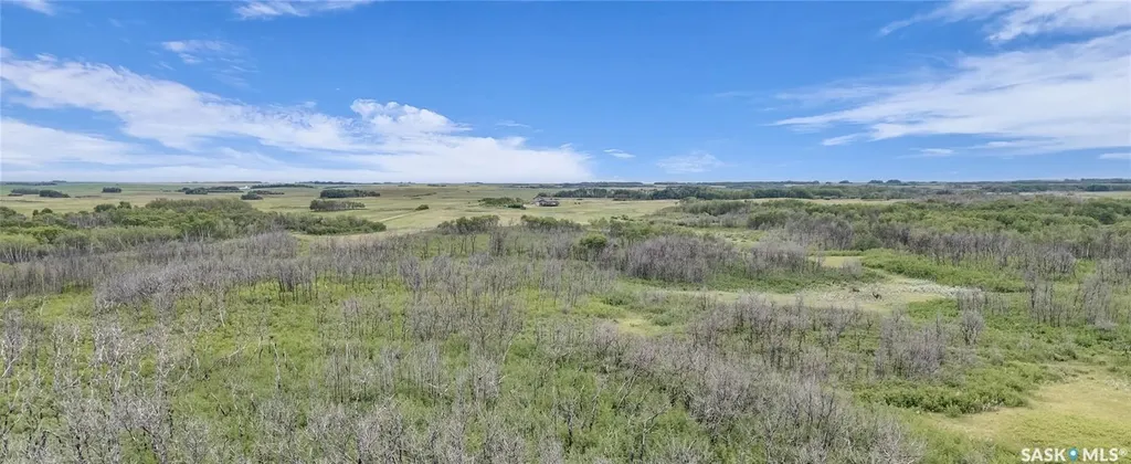 Rural Address Biggar Rm No. 347 SK S0K 0M0