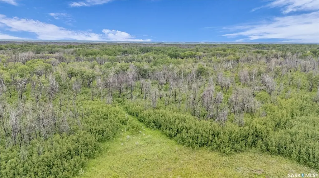 Rural Address Biggar Rm No. 347 SK S0K 0M0