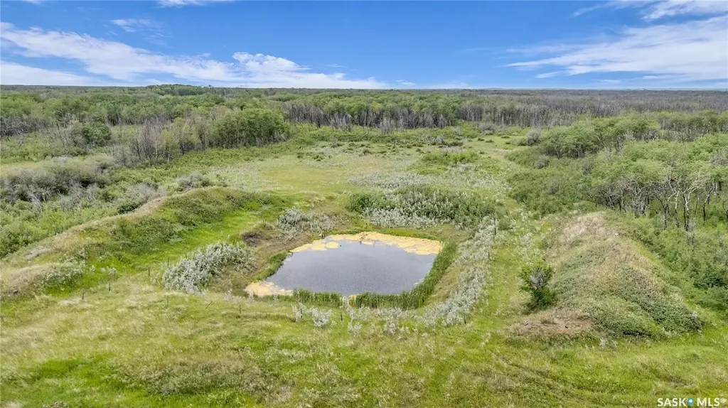 Rural Address Biggar Rm No. 347 SK S0K 0M0