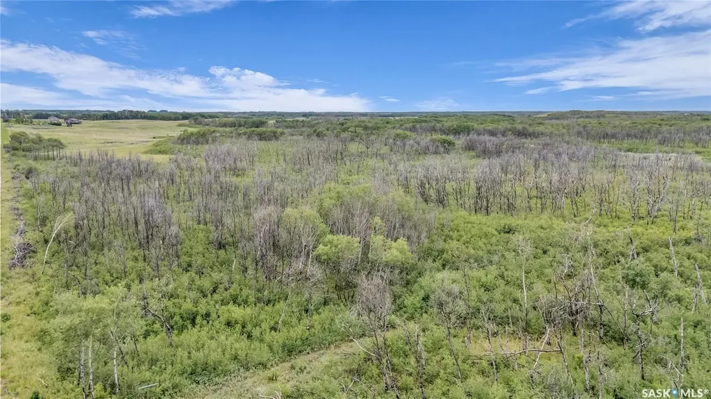 Rural Address Biggar Rm No. 347 SK S0K 0M0