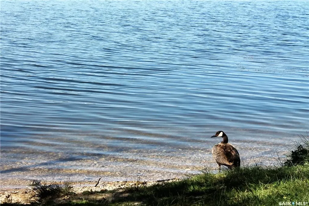 # Kenosee Drive Moose Mountain Provincial Park SK S0C 2S0