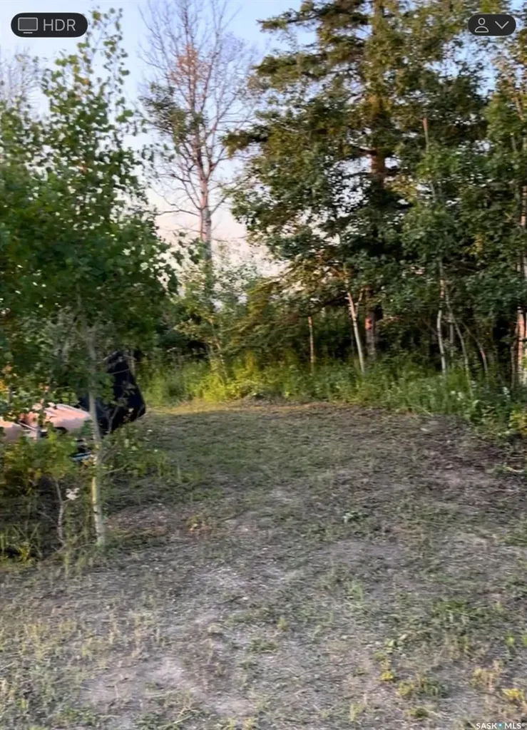 1409 Wakonda Drive Wakaw Lake SK S0K 4P0