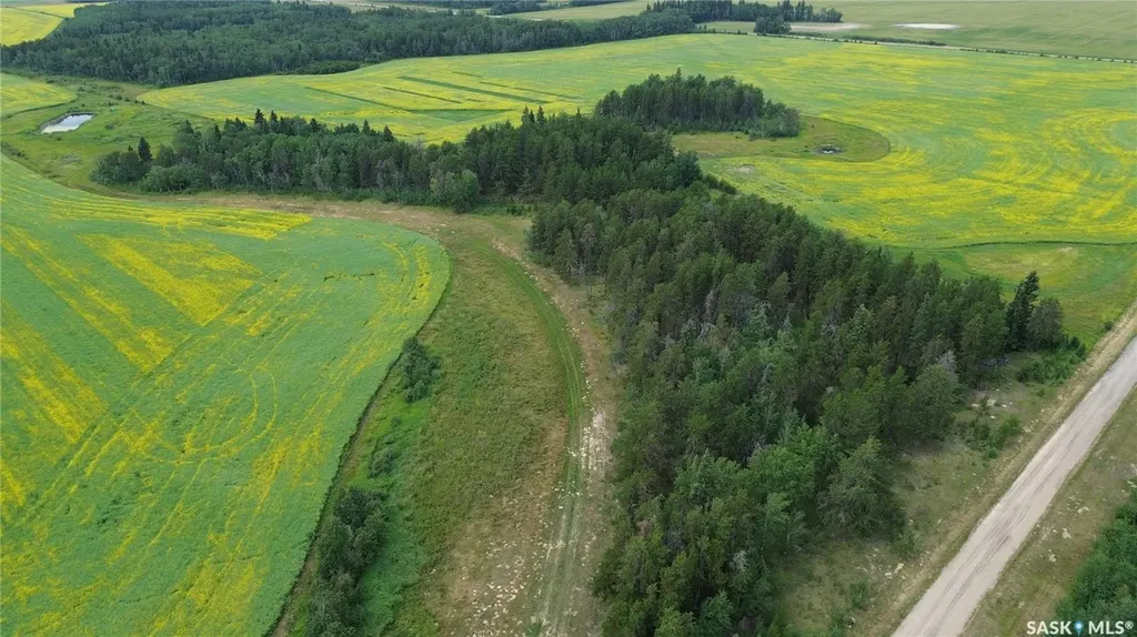 Rural Address Torch River Rm No. 488 SK S0J 2H0