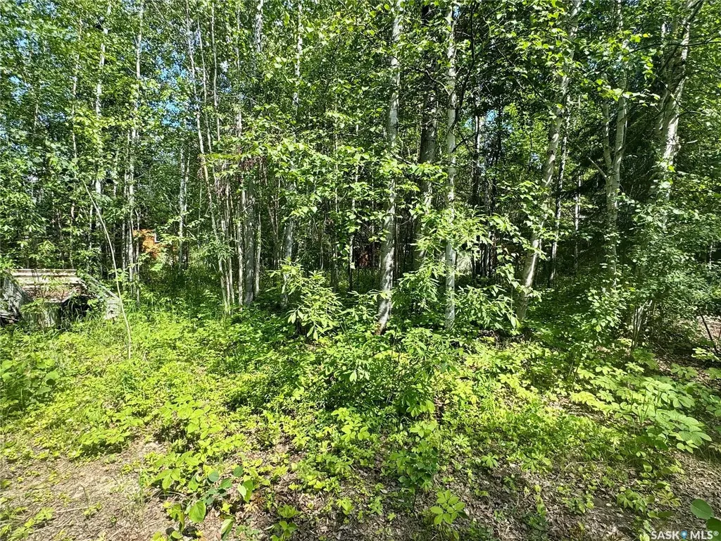 206 Spruce Street Northern Admin District SK S0J 1L0