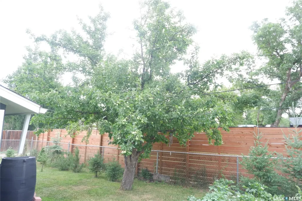 220 6th Avenue W Assiniboia SK S0H 0B0