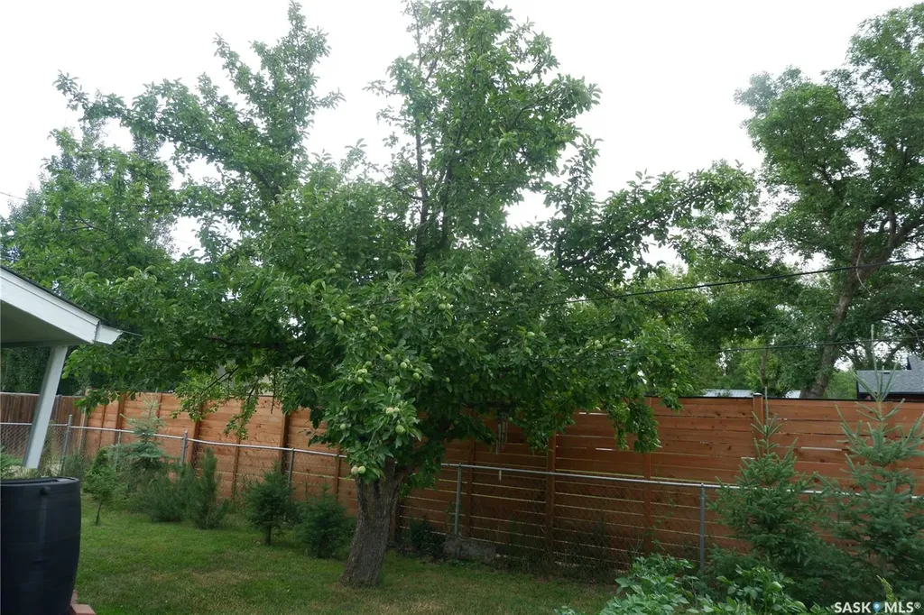 220 6th Avenue W Assiniboia SK S0H 0B0