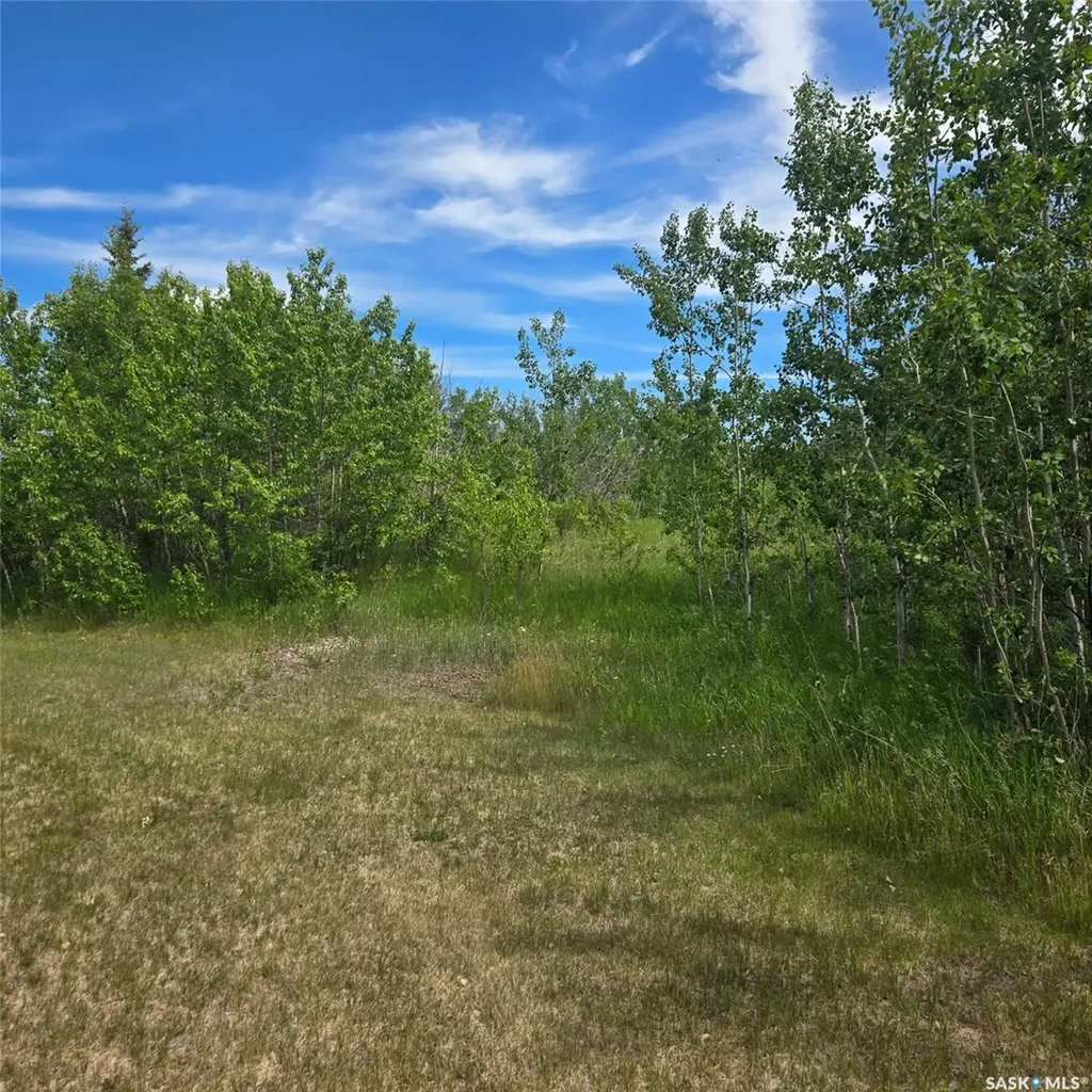 Rural Address Canwood Rm No. 494 SK S0J 2G0