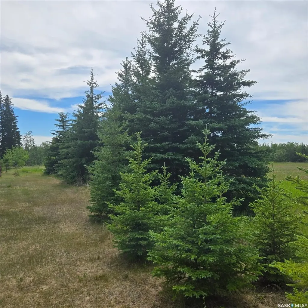 Rural Address Canwood Rm No. 494 SK S0J 2G0