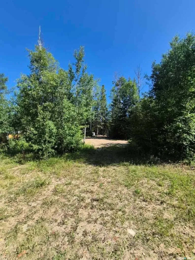 Lot 133 Birchwood Avenue Canwood Rm No. 494 SK S0J 0Y0