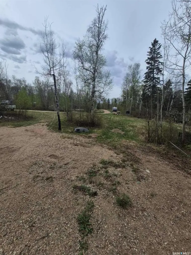 Lot 133 Birchwood Avenue Canwood Rm No. 494 SK S0J 0Y0