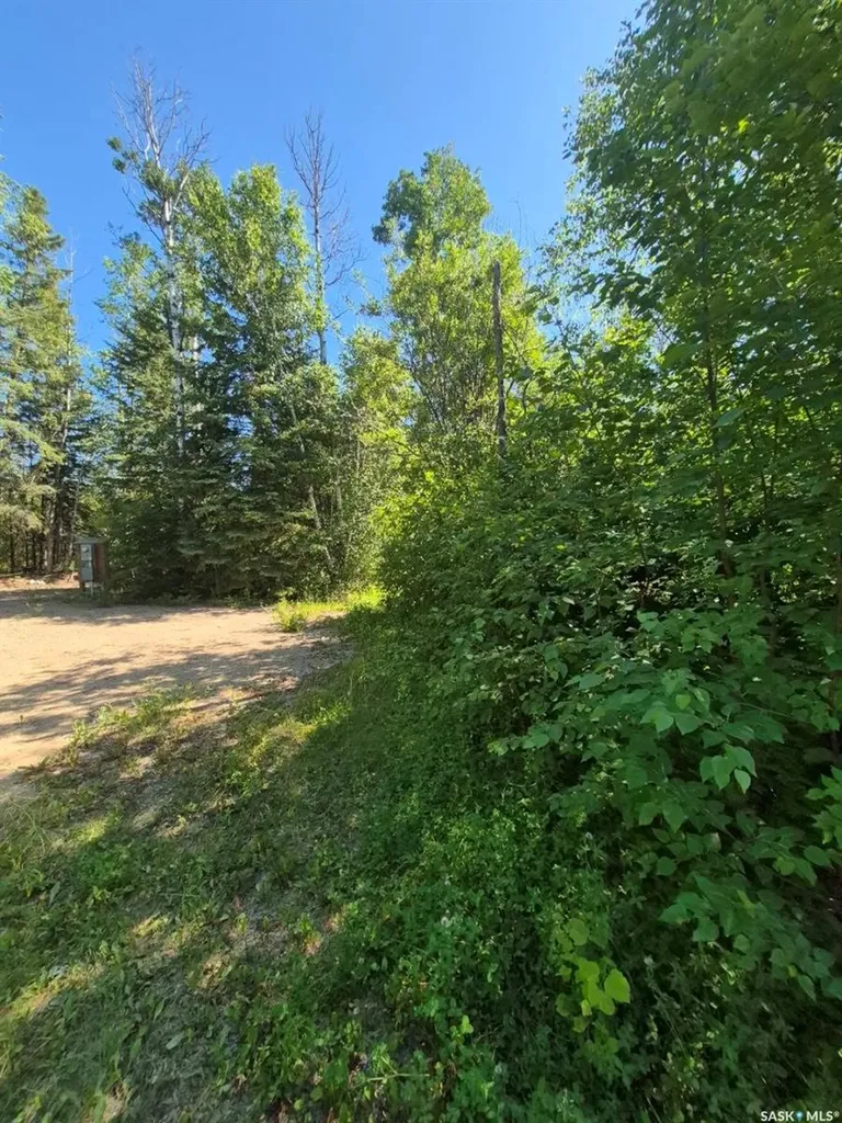 Lot 133 Birchwood Avenue Canwood Rm No. 494 SK S0J 0Y0